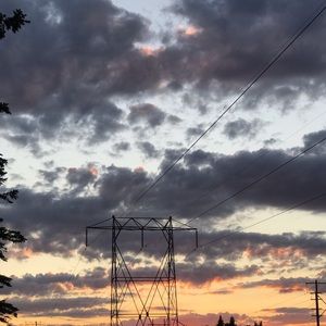 Meet your Posher, Camelia